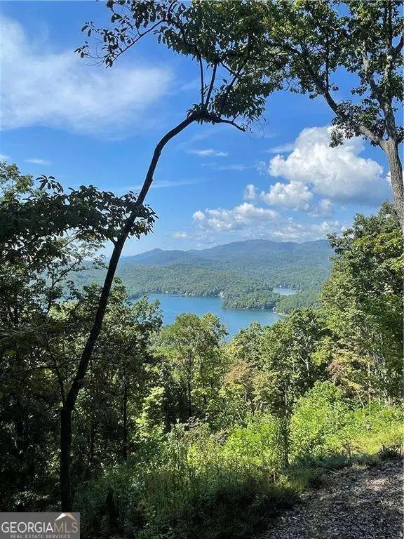 0 Rainwater Trail, Tiger, GA 30576