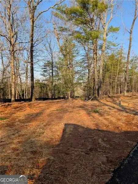 0 Yahoola Road, Dahlonega, GA 30533 - Image #3