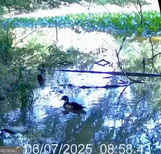 #3