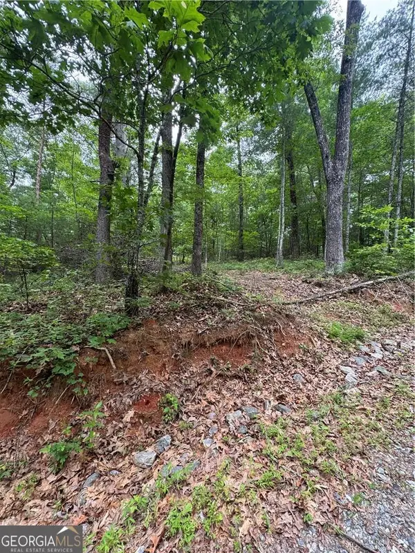 0 Nimblewill Creek Road, Dahlonega, GA 30533