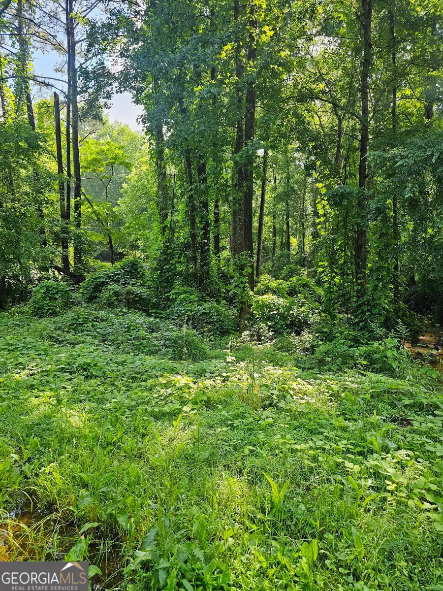 12109 Brown Bridge Road, Covington, GA 30016 - Image #2