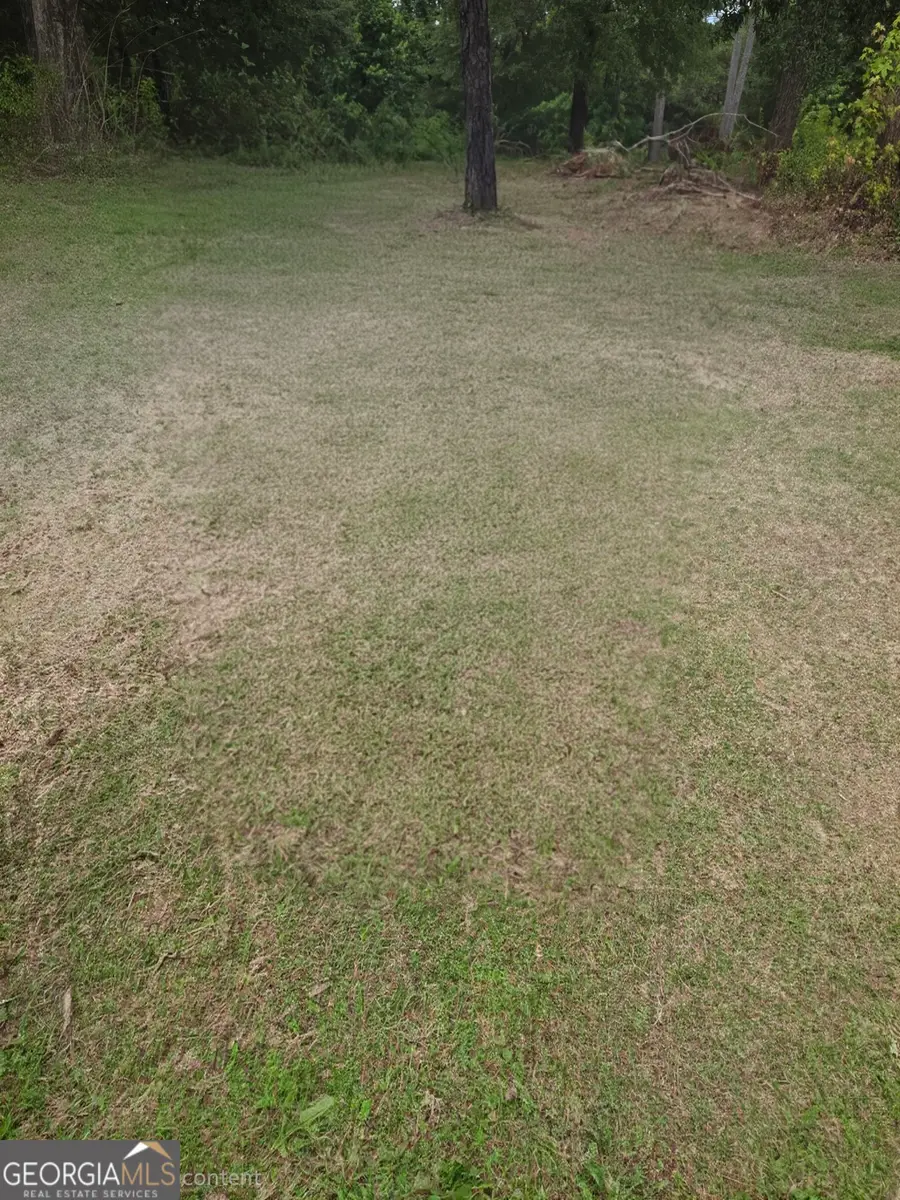 0 Roberts Street, Thomaston, GA 30286 - Image #2