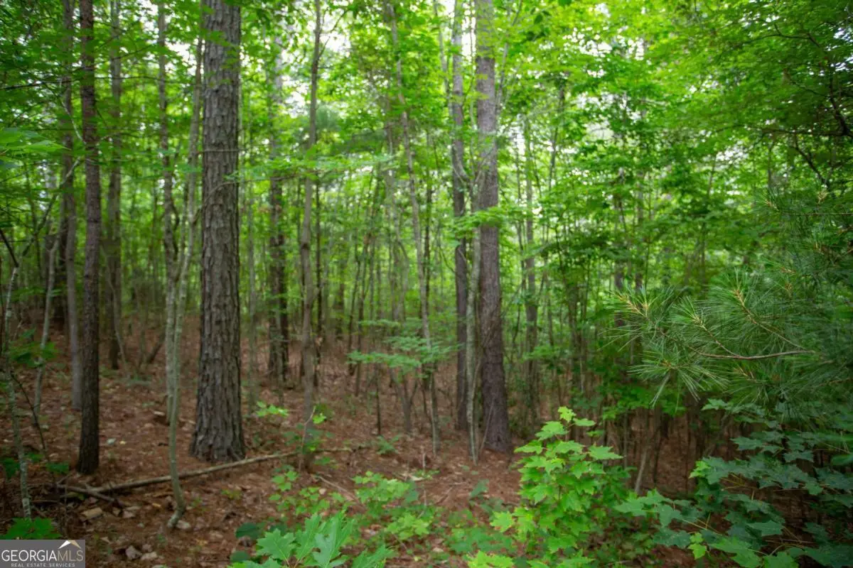 6480A Highway 52 W, Dahlonega, GA 30533 - Image #1