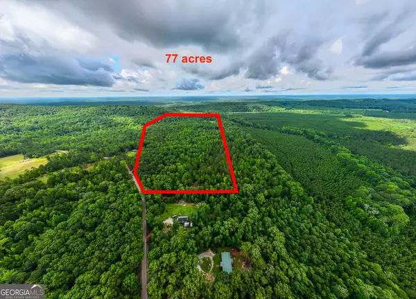 0 South Porter Road, Shiloh, GA 31826