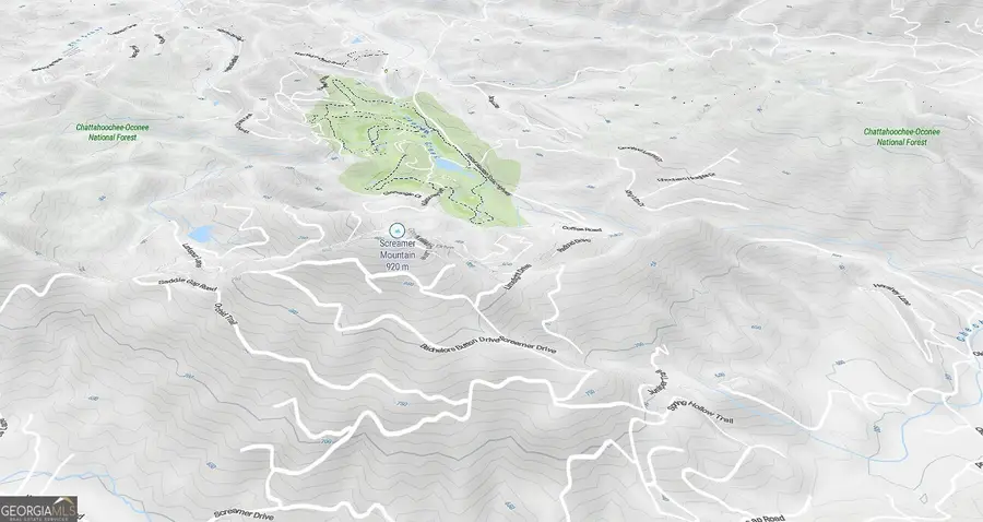 LT 547 Saddle Gap Drive, Clayton, GA 30525 - Image #2