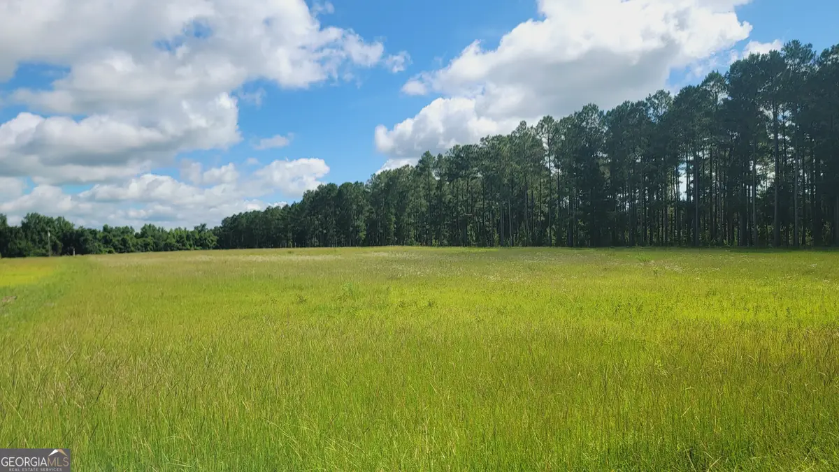 0 Briar Patch Way, Reynolds, GA 31076 - Image #1