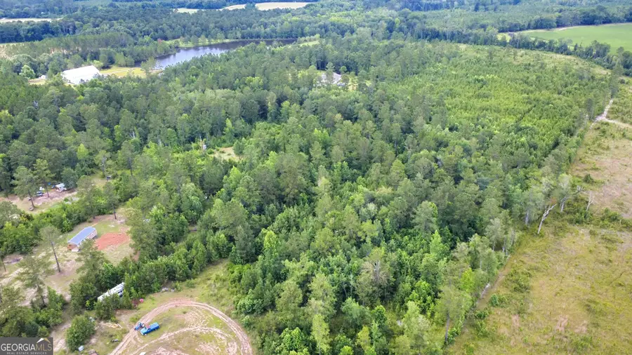 0 Moore Road, Register, GA 30452 - Image #2