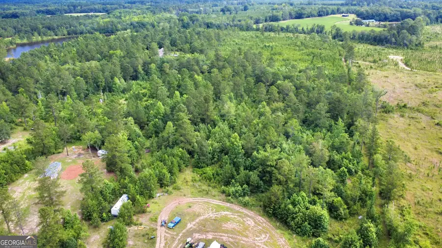 0 Moore Road, Register, GA 30452 - Image #3