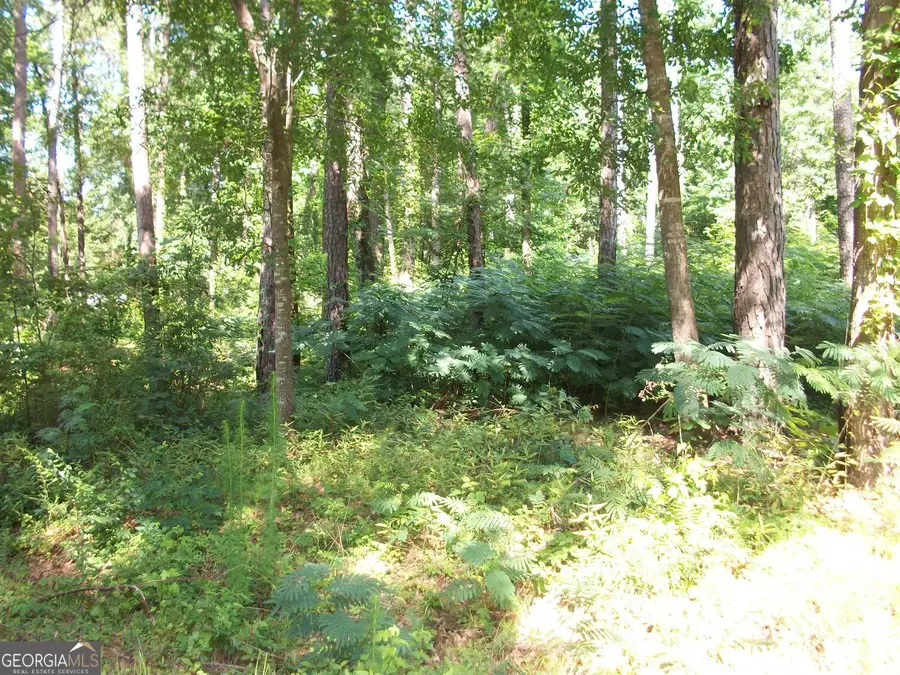 43 Shady Lane, Jackson, GA 30233 - Image #3