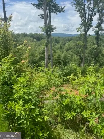 LOT 104 River Knoll Trail, Ellijay, GA 30540 - Image #2