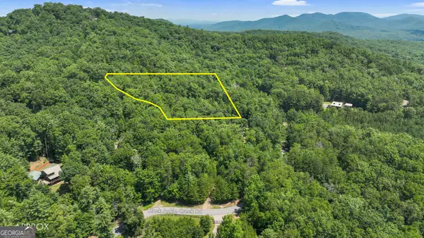 LOT 1 High Knee Road, Cherry Log, GA 30522