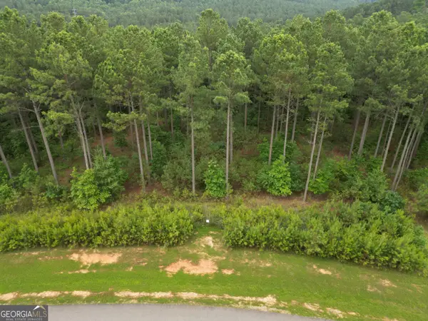 LOT 148 Stables Loop, Blairsville, GA 30512