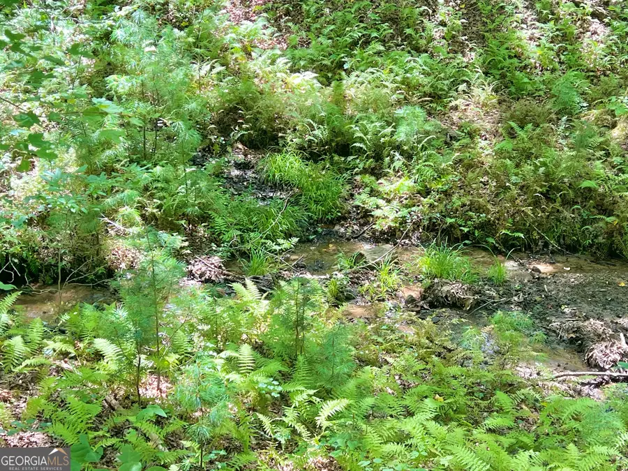 62 Peach Lane, Ellijay, GA 30536 - Image #2