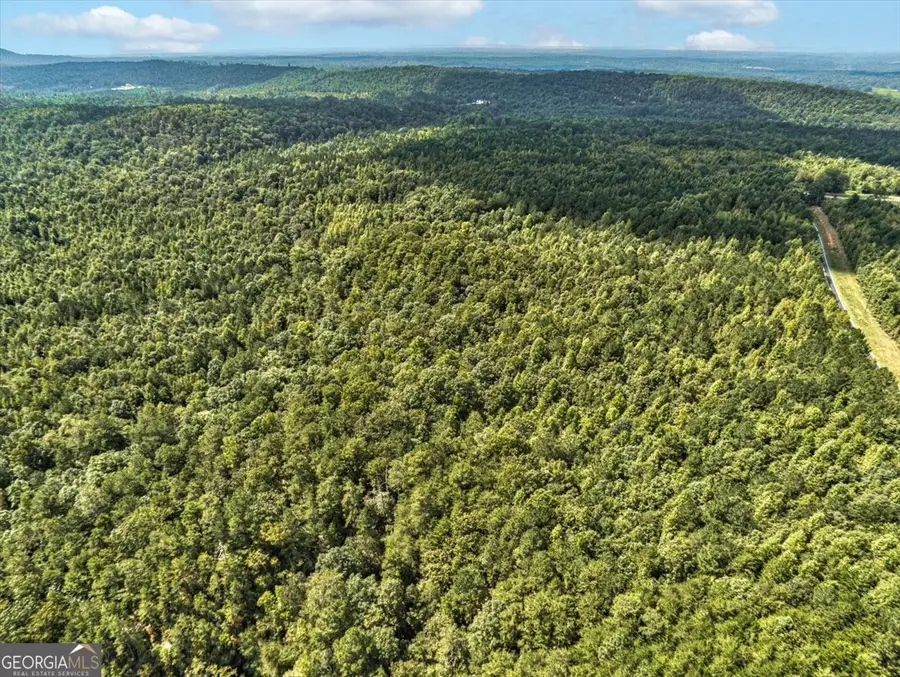 TRACT 5 Old Ridgeway Road, Bremen, GA 30110 - #2