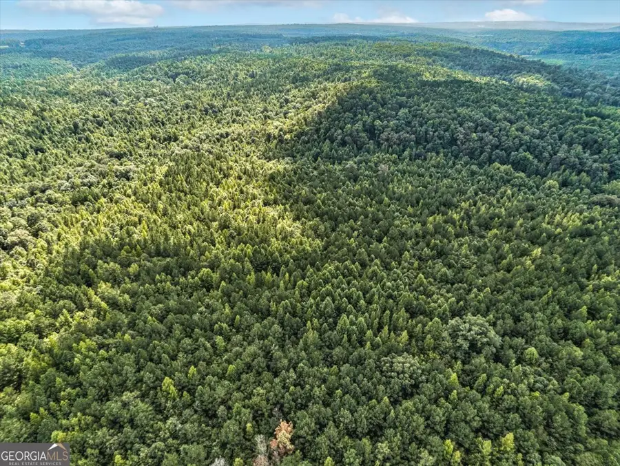 TRACT 5 Old Ridgeway Road, Bremen, GA 30110 - #3