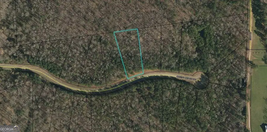 1017 Queens Bridge Way, Griffin, GA 30223 - Image #2