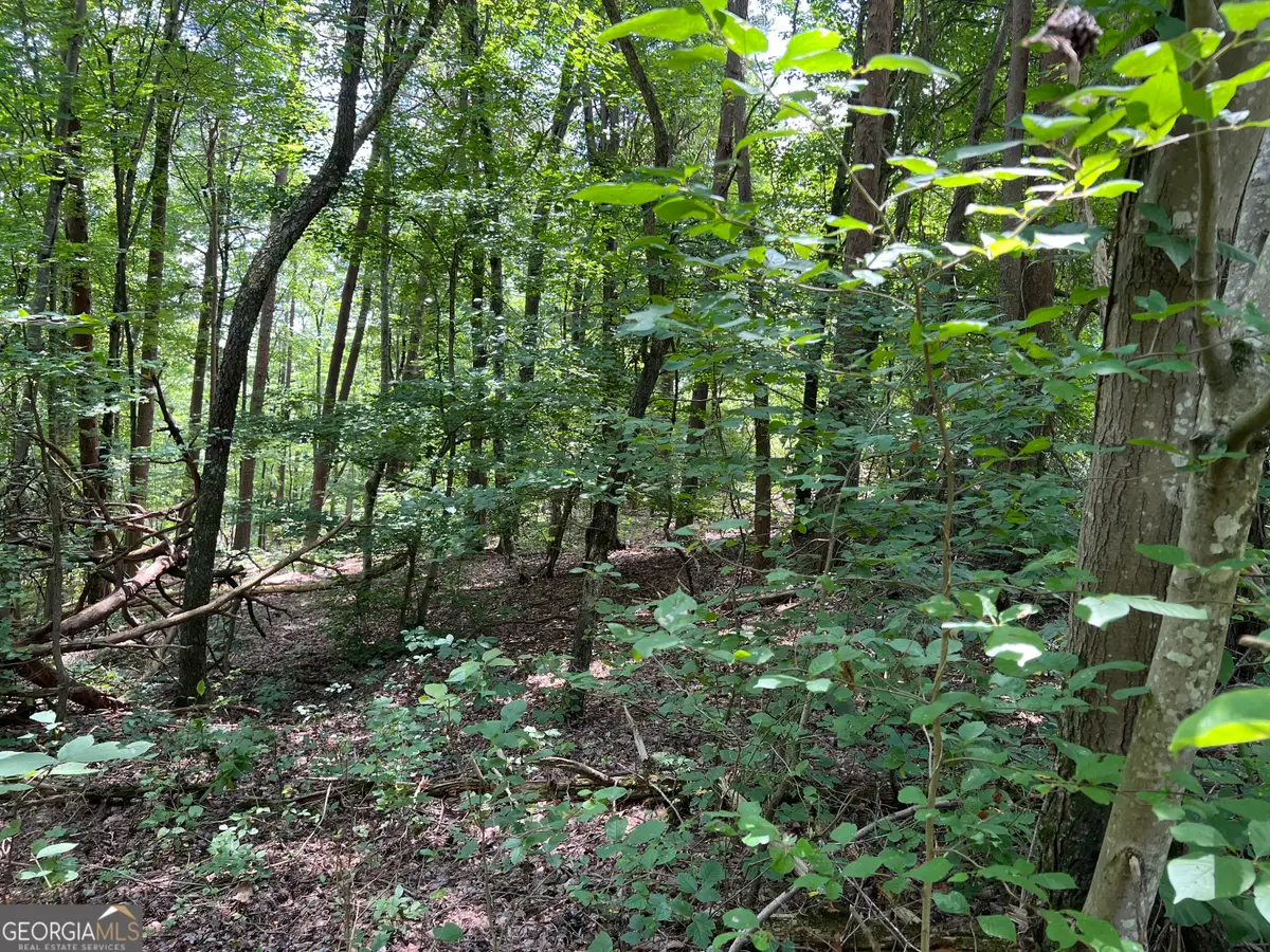 0 Lavender Trail, Rome, GA 30165 - Image #1