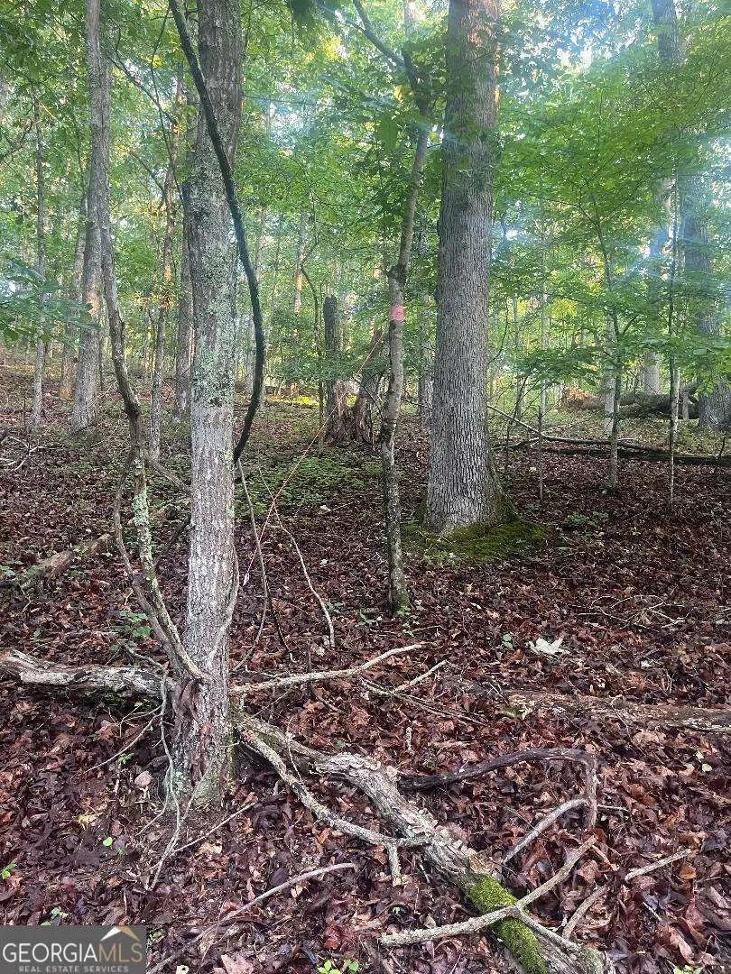 6047 Belle Meade Drive, Villa Rica, GA 30180 - Image #3