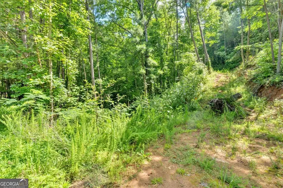 0 Whitestone Drive, Talking Rock, GA 30175 - Image #3