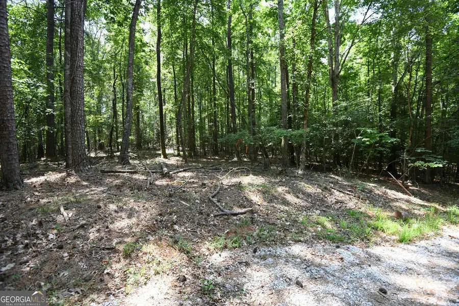 3269 Callie Still Road, Lawrenceville, GA 30045 - Image #3