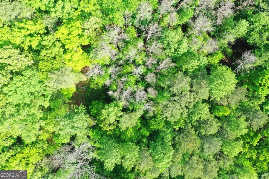 0 Bradley Drive Sw, Snellville, GA 30039 - Image #3