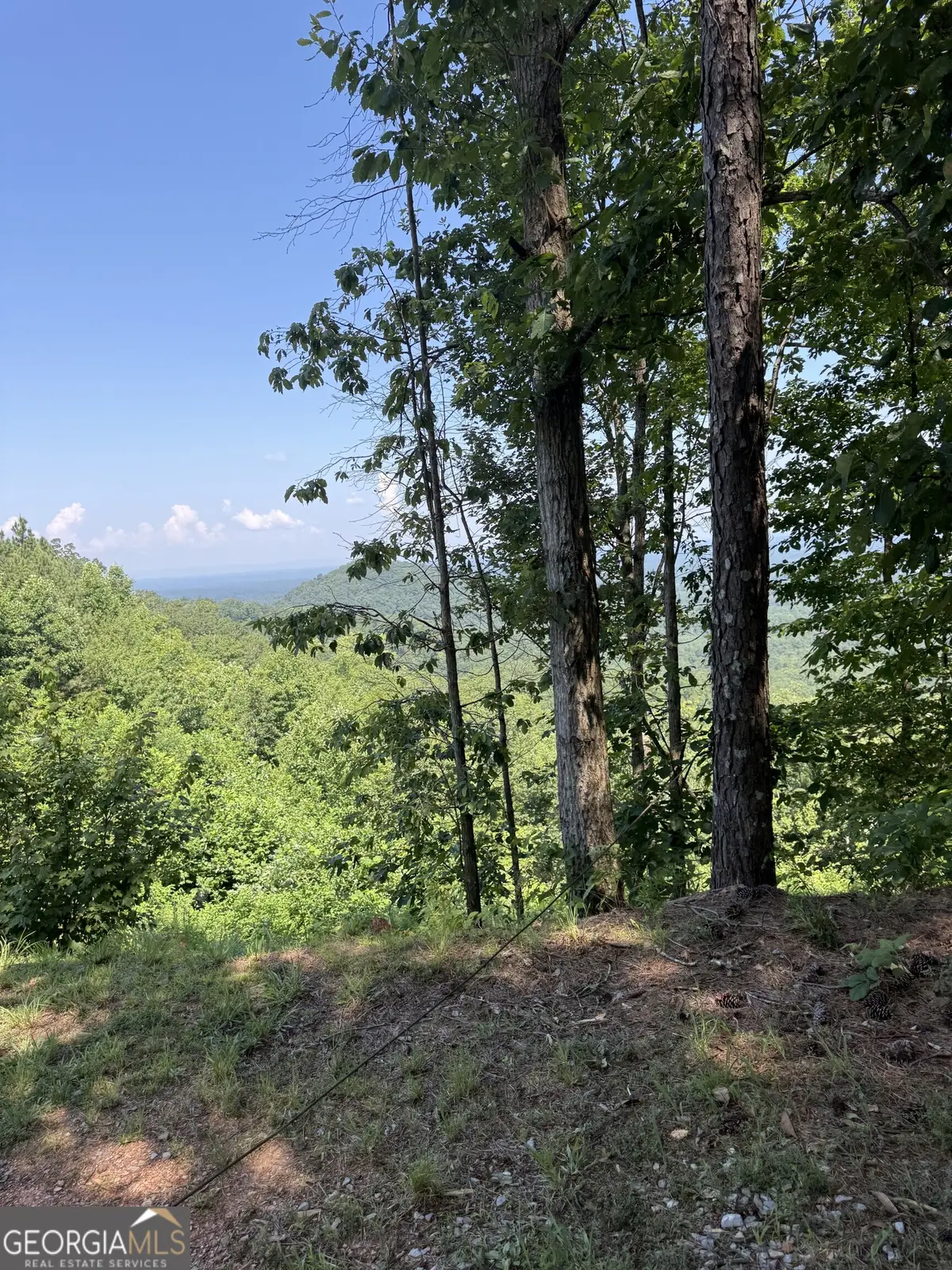 1588 Paladin Drive, Ranger, GA 30734 - #1