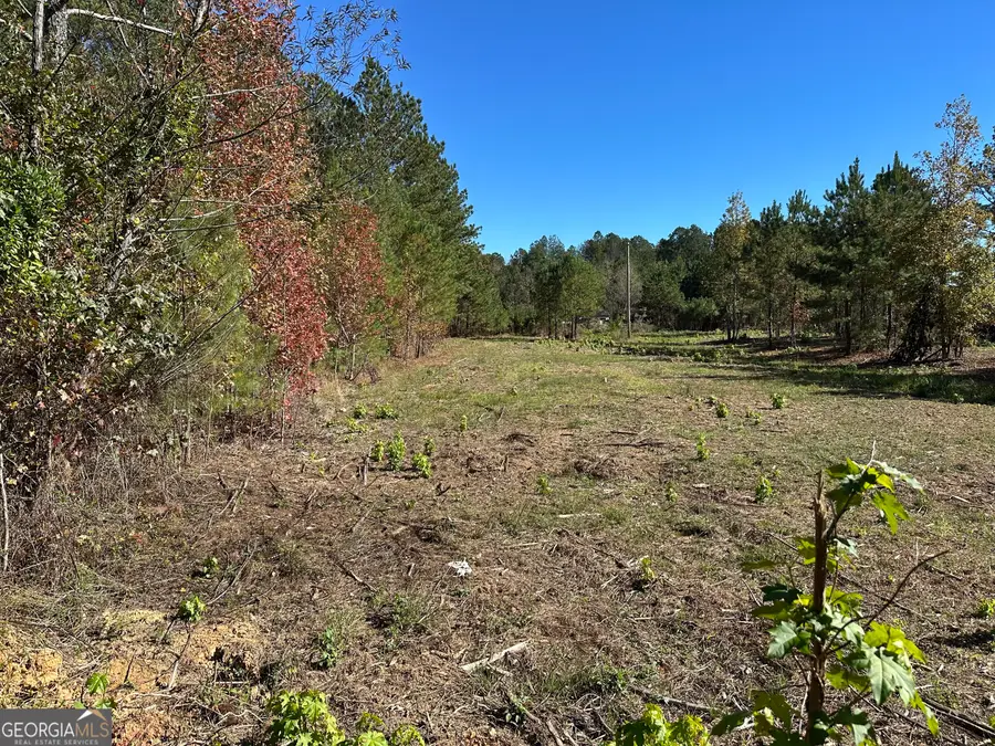 TR 3 Culp Lake Road, Cedartown, GA 30125 - Image #2