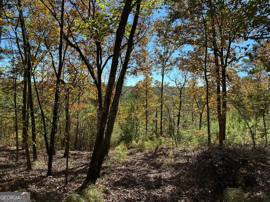 TR 3 Culp Lake Road, Cedartown, GA 30125 - Image #3