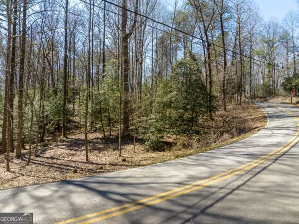 LOT 193 Shenendoa Drive, Ellijay, GA 30540