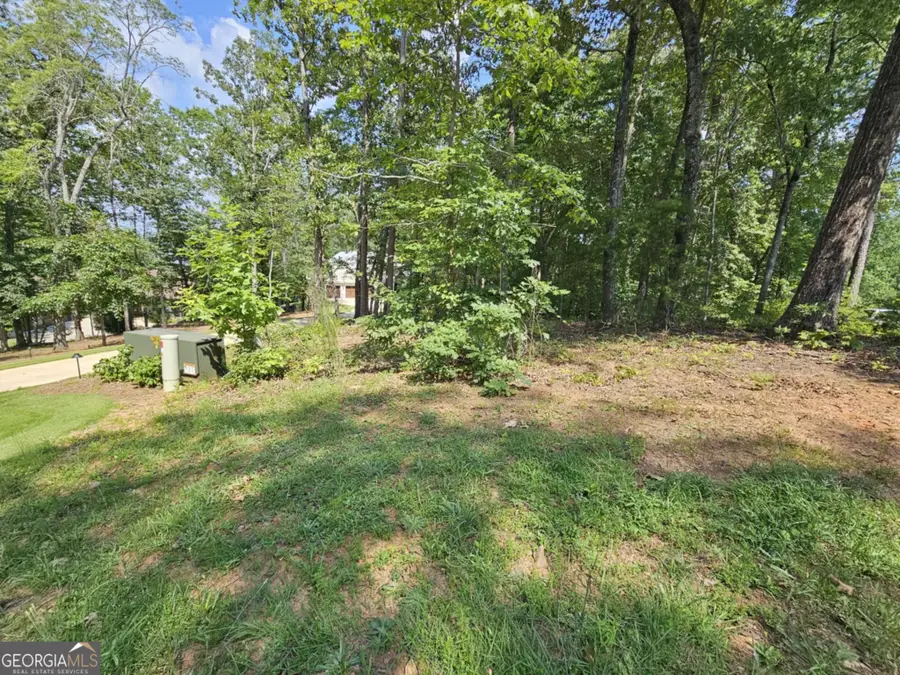 173 Edgewater Trail S, Toccoa, GA 30577 - Image #3