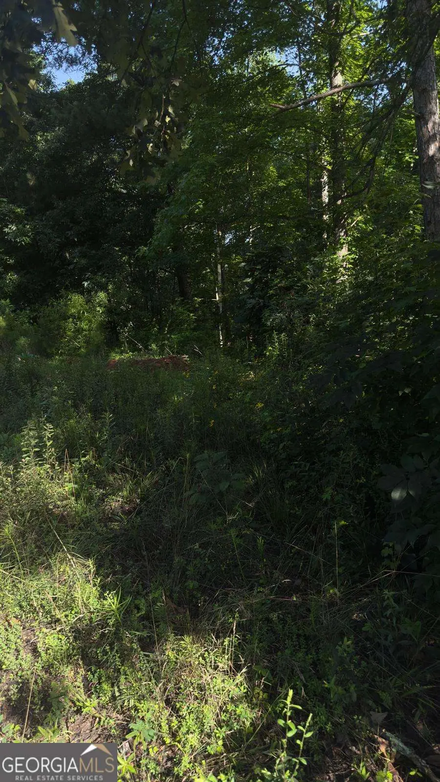 5724 Sallee Circle, Oakwood, GA 30566 - Image #2