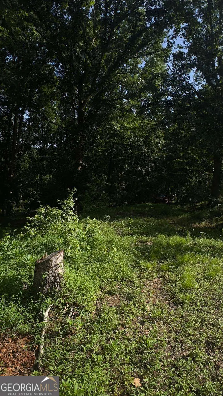 5724 Sallee Circle, Oakwood, GA 30566 - Image #3