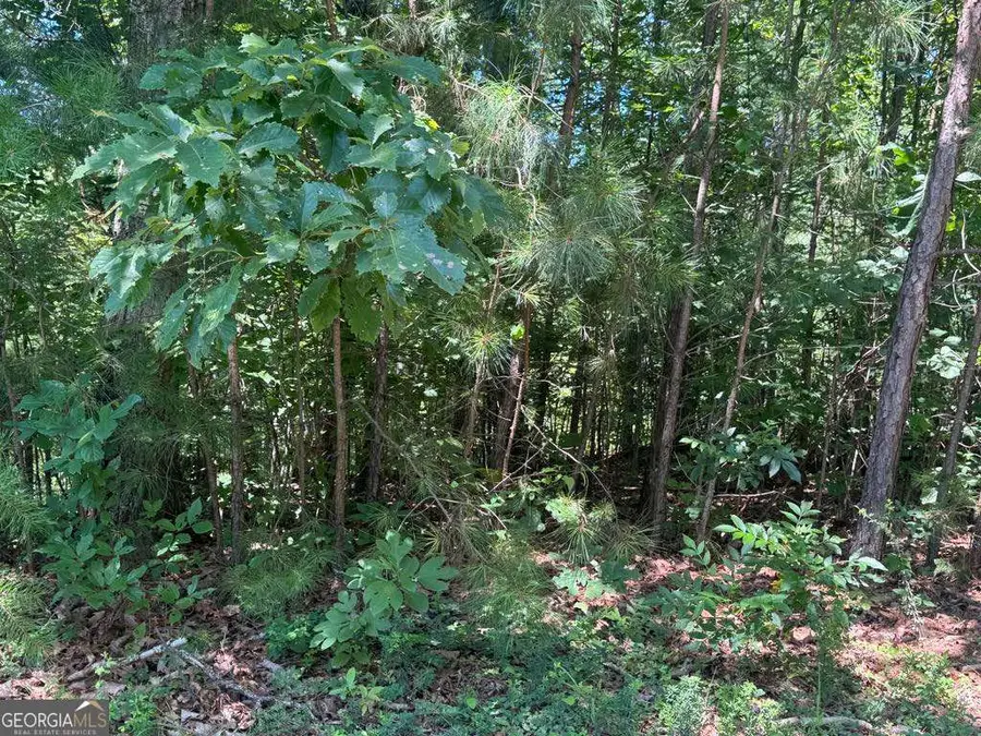 189 Hopewell Drive, Ranger, GA 30734 - Image #2