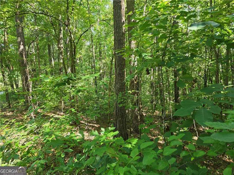 0 Byers Drive, Ball Ground, GA 30107 - Image #2