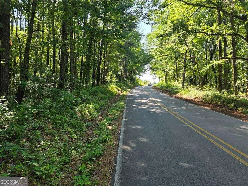 0 Byers Drive, Ball Ground, GA 30107 - Image #3