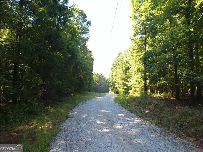 104 Lo Valley, Eatonton, GA 31024 - Image #3