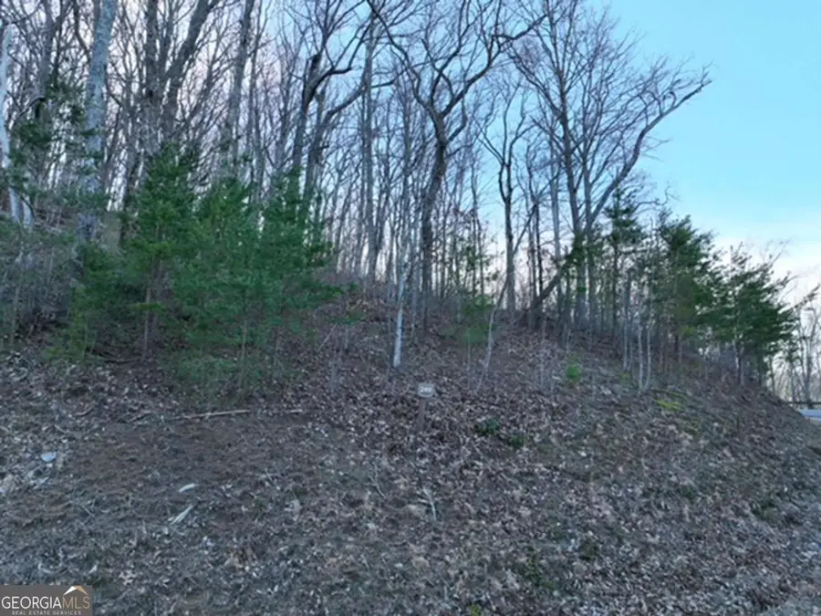 249 Andes Ridge, Ellijay, GA 30536 - Image #3