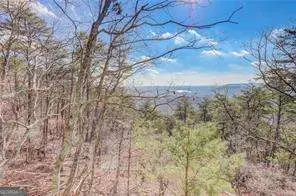 1915 Tower Trail, Waleska, GA 30183 - Image #3