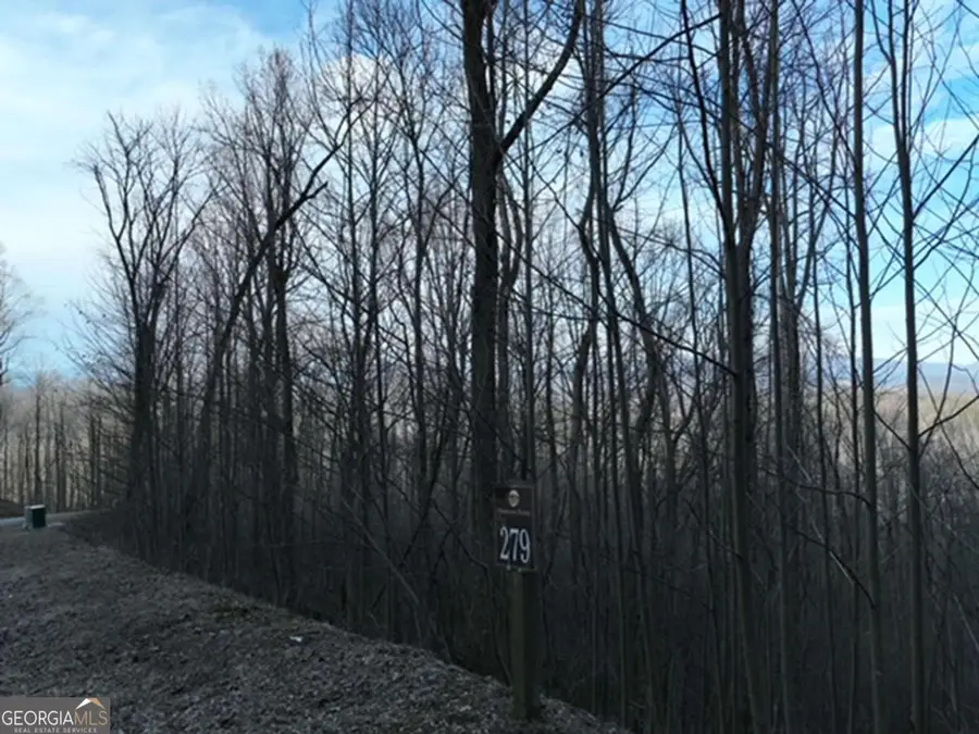 279 Andes Ridge, Ellijay, GA 30536 - #3