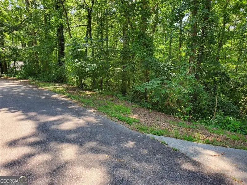 0 Wallace Circle, Snellville, GA 30039 - Image #3