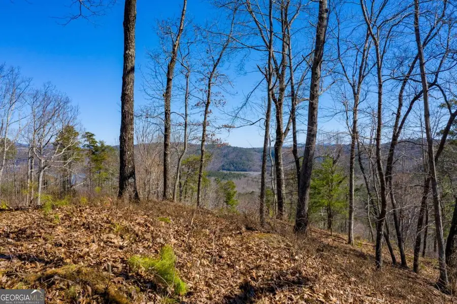 278 Carters Overlook, Ranger, GA 30734 - Image #2
