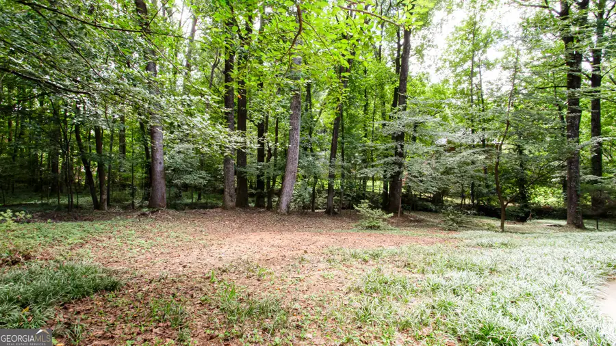 1855 Vintage Drive, Snellville, GA 30078 - Image #3