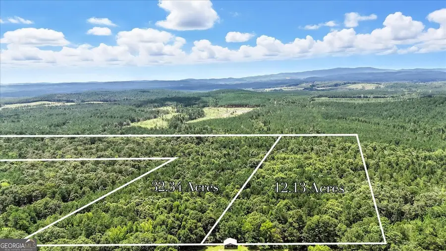 0 George Road, Cave Spring, GA 30124 - Image #3