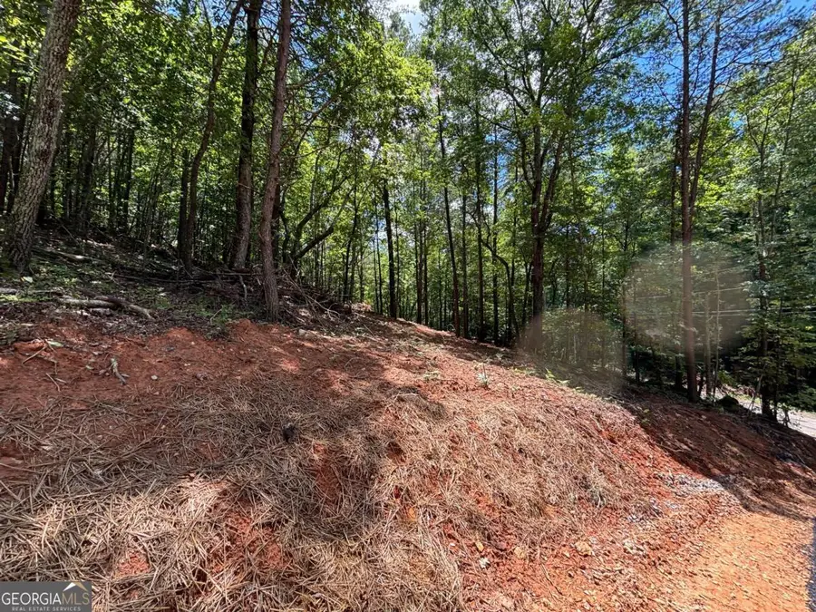 704 Gregory Drive, Jasper, GA 30143 - Image #3