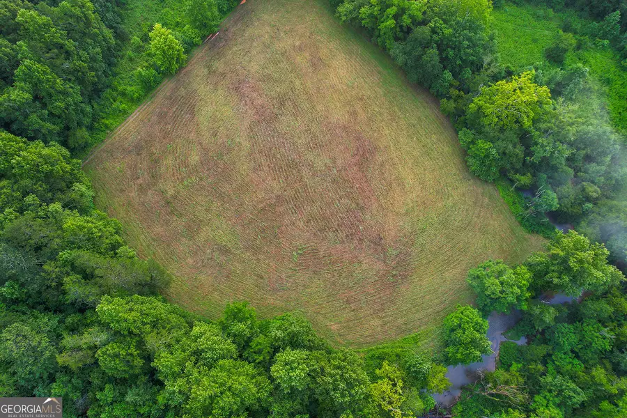 1055 New Liberty Trail, Ellijay, GA 30536 - Image #2