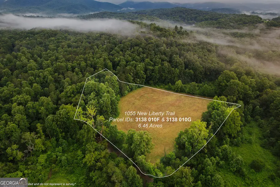 1055 New Liberty Trail, Ellijay, GA 30536 - Image #3
