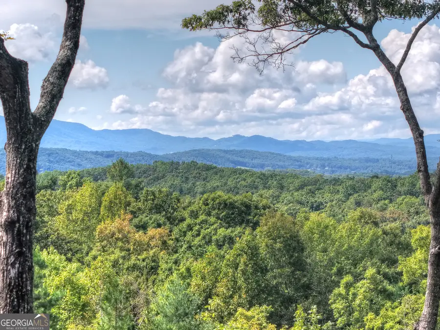 67 Antler Way, Morganton, GA 30560 - Image #3