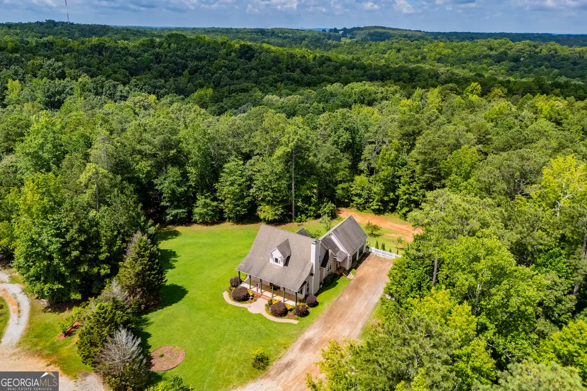 9800 Court Lynn Lane, Winston, GA 30187 - Image #1