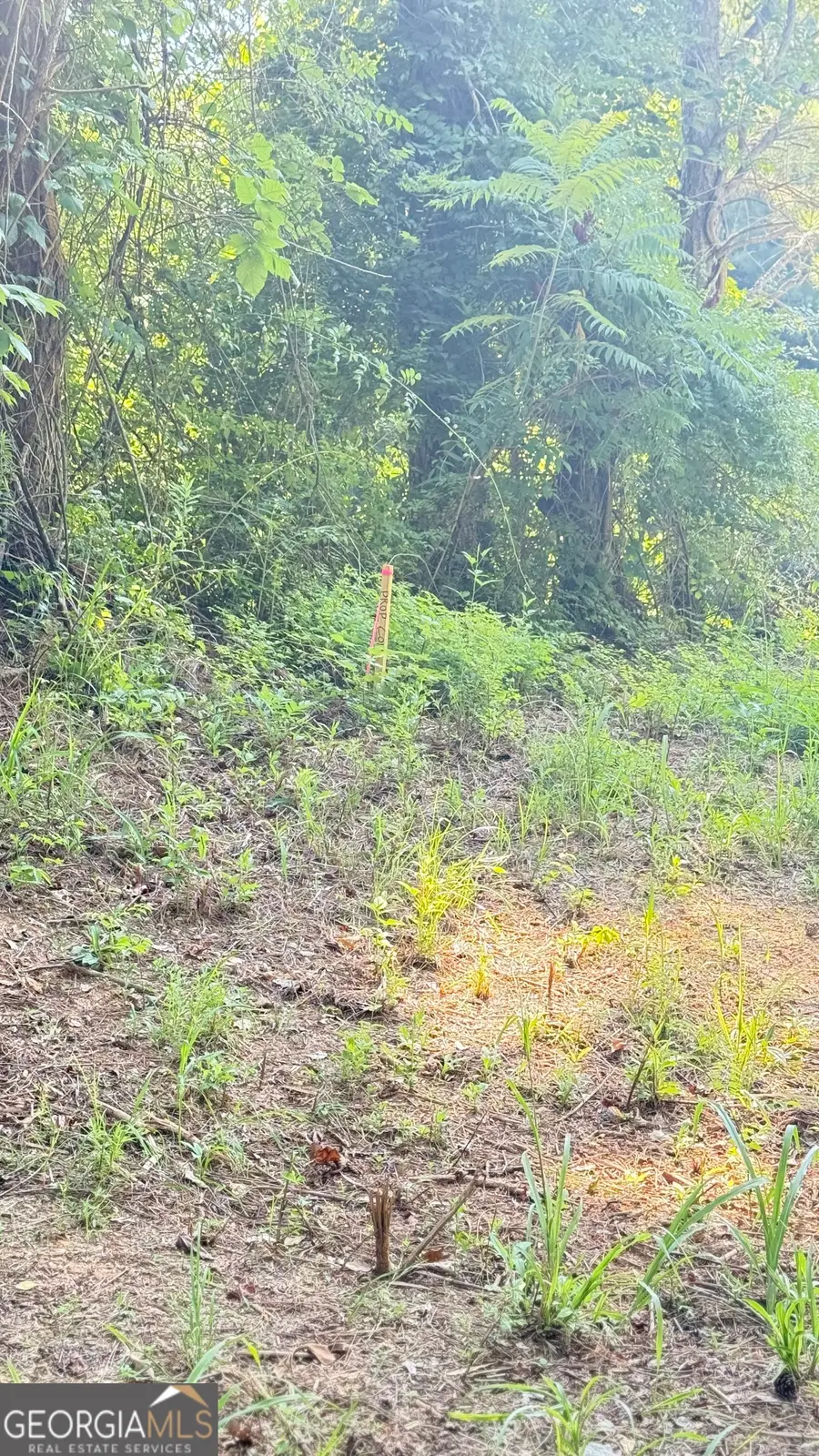 8 Sweetwater Bend, Villa Rica, GA 30180 - Image #3