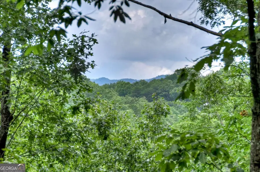 156 Dupont Drive, Blue Ridge, GA 30513 - Image #2